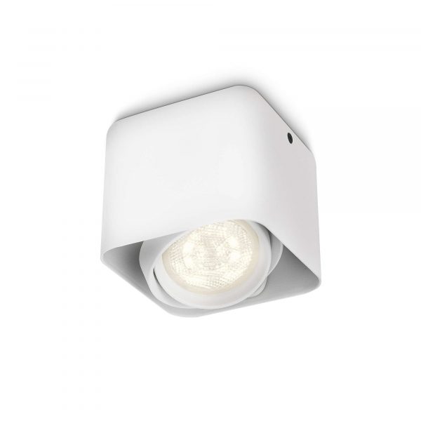 Plafonska reflektorska svetiljka Afzelia 53200/31/16 – Philips