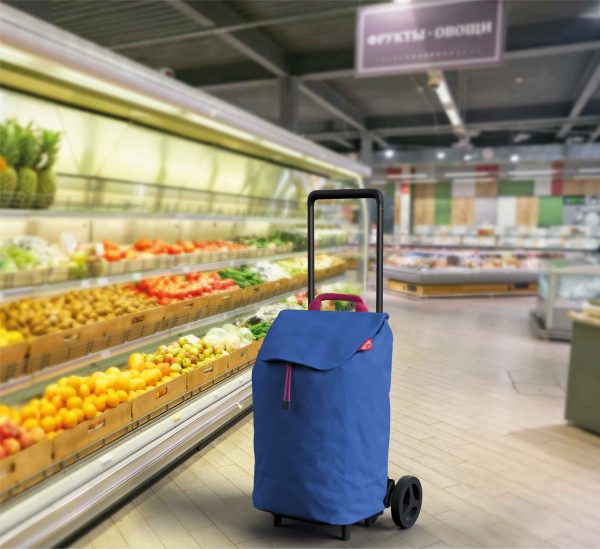 Kolica za pijacu Easy Go - plava