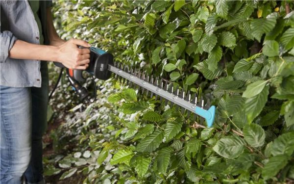 Električne makaze-trimer za živu ogradu Easy cut GA 09830-20 – Gardena - Image 2