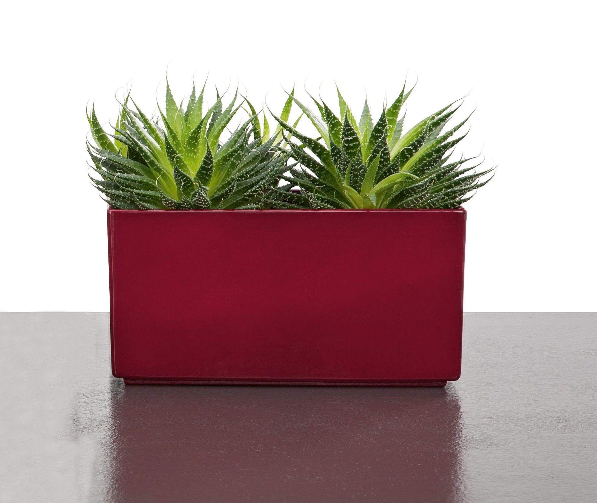 Saksija 494 Dark Red - Scheurich