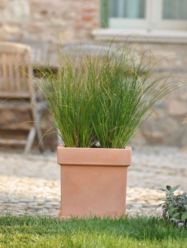 Themis Quadro saksija - Image 5