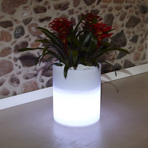 Echo Light saksija - Image 3