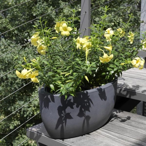 Athena saksija – R4050 - Image 7