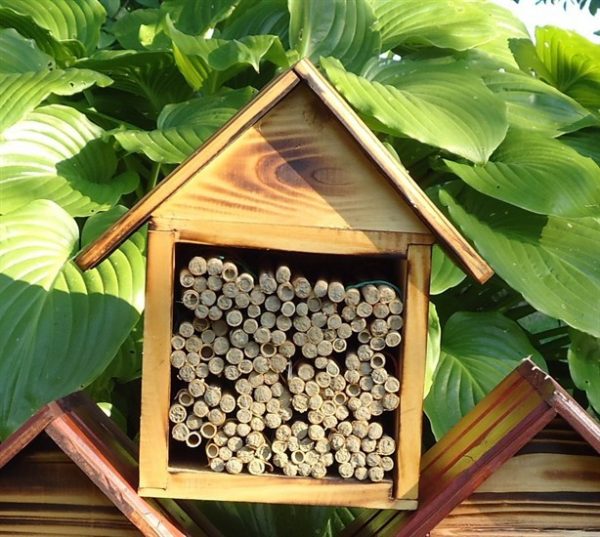 Kućica za korisne insekte Windhager - Image 2