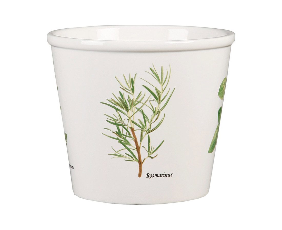 Saksija za začinsko bilje 807 – Scheurich - Image 2