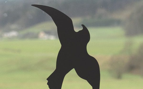 Stiker ptica za staklo 3 kom Windhager - Image 3