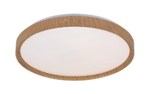 Rabalux Sherwood Plafonjere 3500