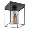 Rabalux Chadwick Plafonjere 71031