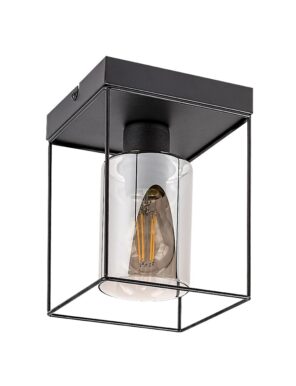 Rabalux Chadwick Plafonjere 71031