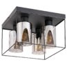 Rabalux Chadwick Plafonjere 71034