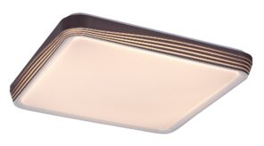 Rabalux Druzor Plafonjere 71166
