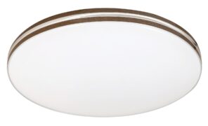 Rabalux Oscar2 Plafonjere 71173