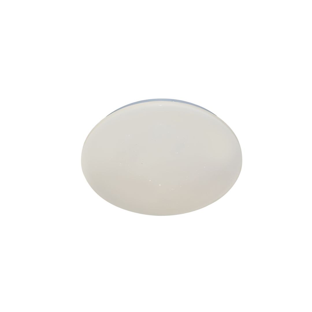 Rabalux Lucas2 Plafonjere 71508