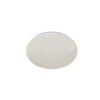 Rabalux Lucas2 Plafonjere 71509