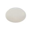 Rabalux Lucas2 Plafonjere 71511