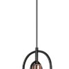 Rabalux Rovier Visilice 72263
