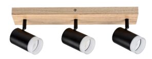 Rabalux Toras Spot rasveta 73123