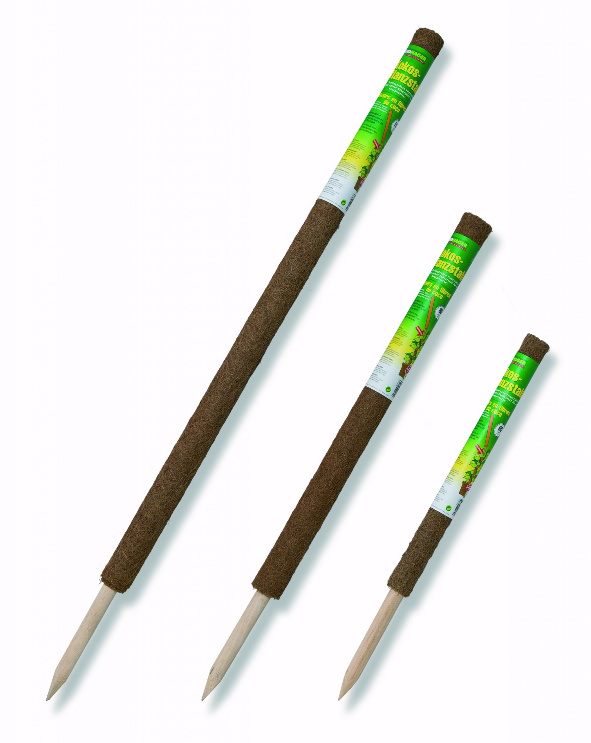 Windhager Potporna šipka kokos 80 cm WH 05662