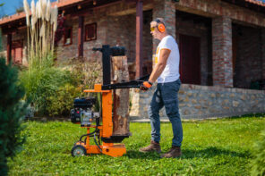 Vertikalni motorni cepač drva PLS 10 T - 2019 - Слика 2
