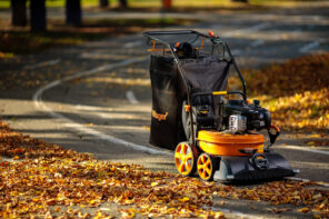Motorni samohodni duvač / usisivač Villager VPTC 8520 - Слика 3