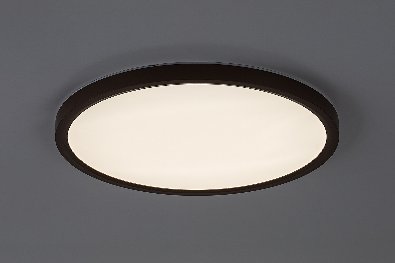 Rabalux Lautrec Spoljna plafonska rasveta 75083 - Слика 4