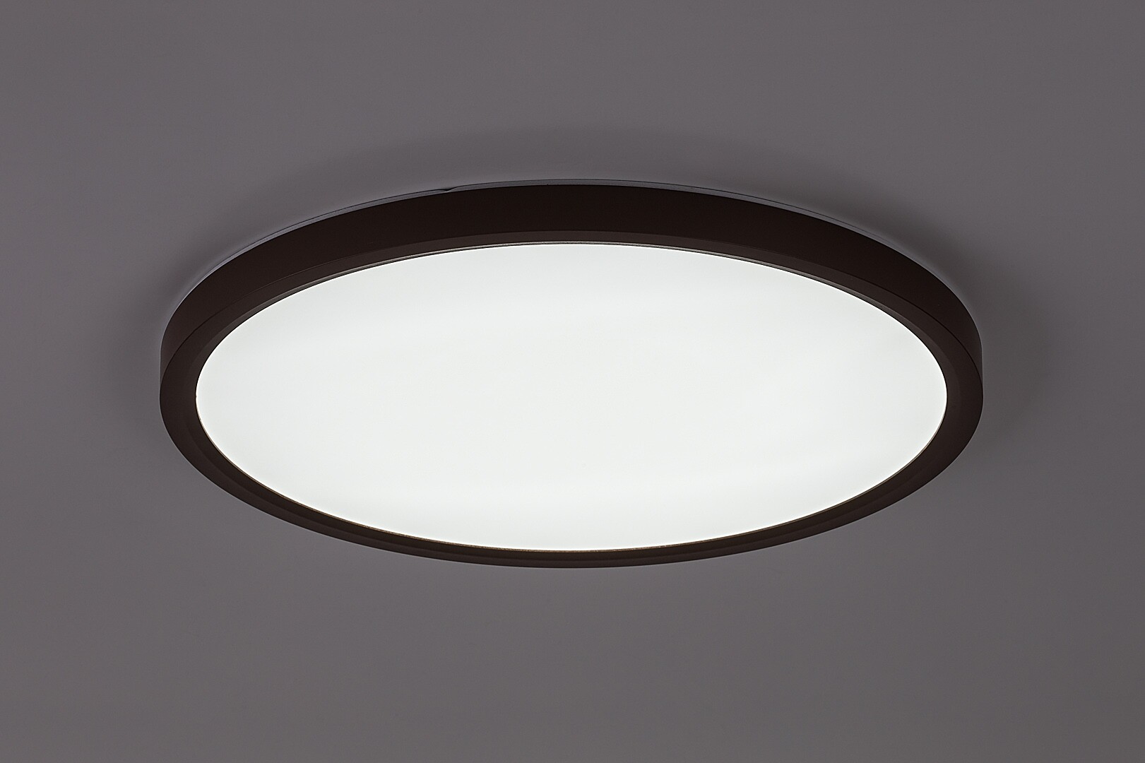 Rabalux Lautrec Spoljna plafonska rasveta 75083 - Слика 5