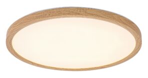Rabalux Lautrec Spoljna plafonska rasveta 75085