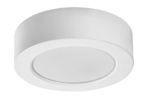 Rabalux Shaun Plus Spoljna plafonska rasveta 75071