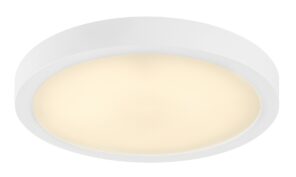 Rabalux Shaun Plus Spoljna plafonska rasveta 75073